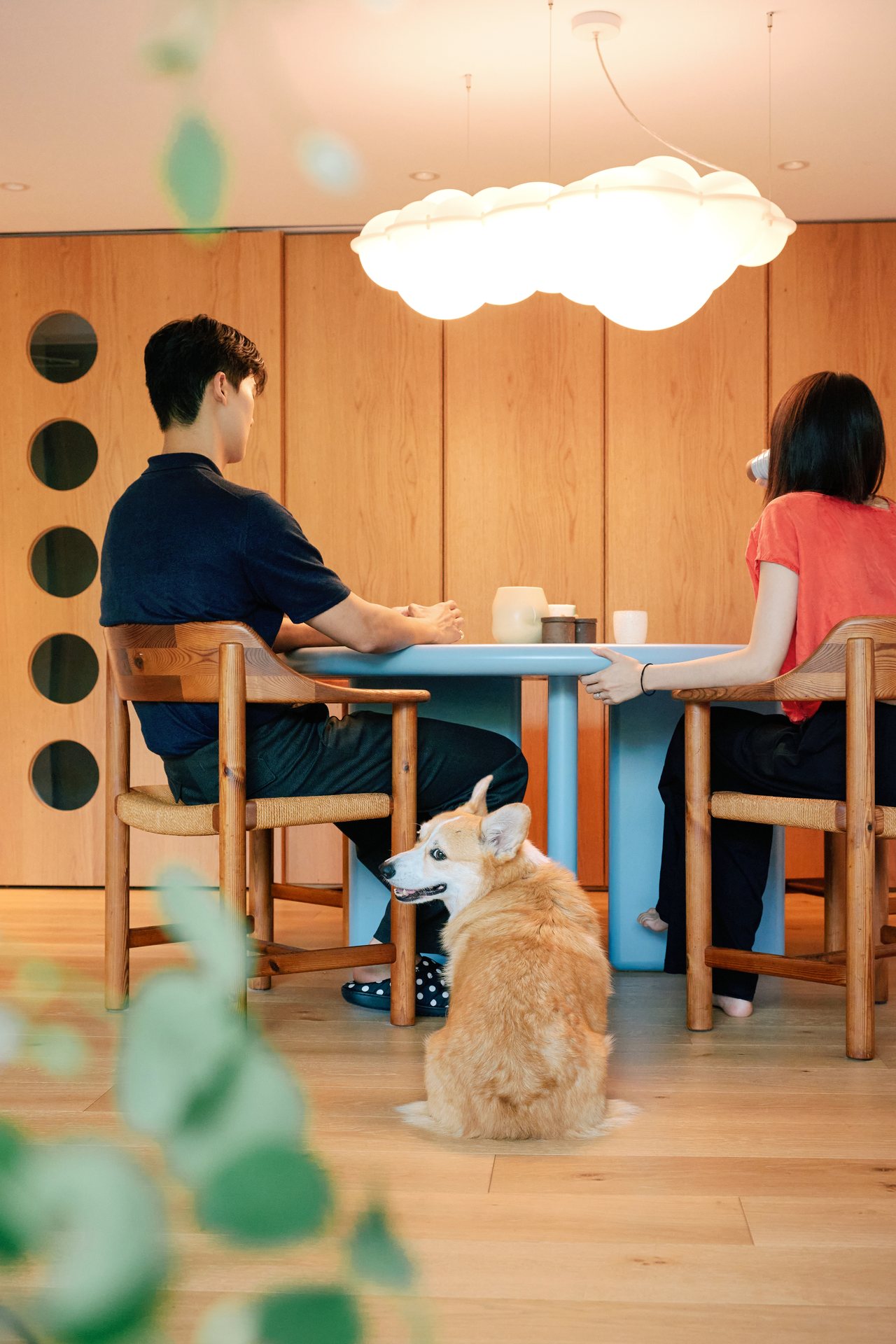 겁 많은 덤보도 안심하는 집